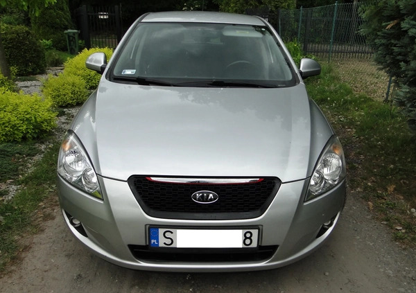 Kia Ceed cena 11900 przebieg: 146123, rok produkcji 2007 z Korsze małe 232